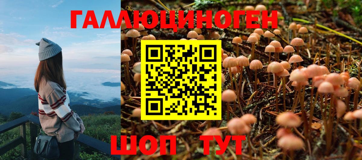 Галлюциногенные грибы GOLDEN TEACHER Еманжелинск
