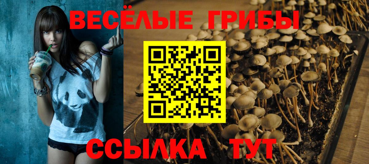 Псилоцибиновые грибы MAGIC MUSHROOMS  Псилоцибиновые грибы Magic Shrooms  Еманжелинск  Вход с VPN 